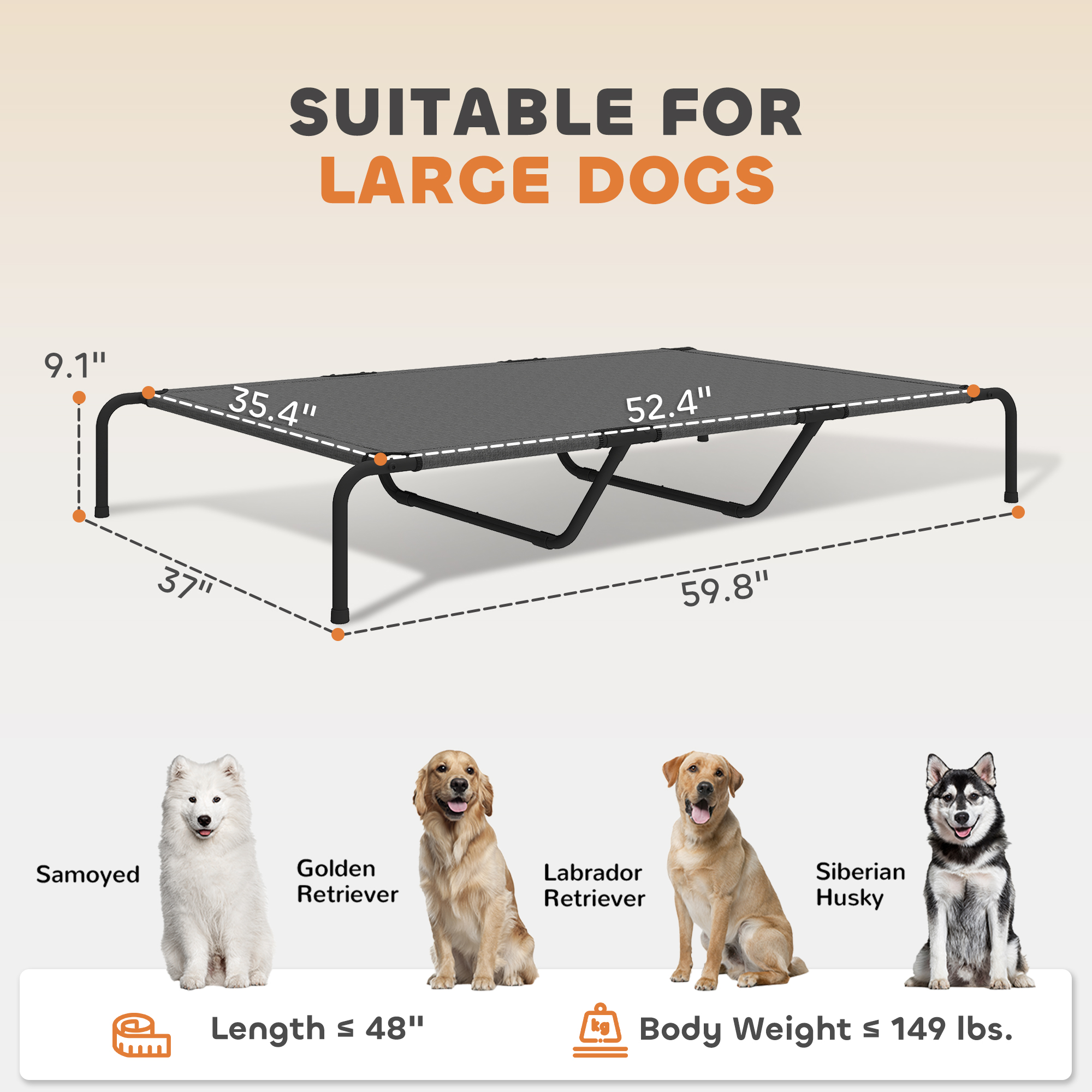 galleryImage